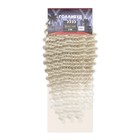 ГОЛЛИВУД Афролоконы, 60 см, 270 гр, цвет пепельный/белый HKB454/60 (Катрин) - Фото 4