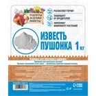 Известь пушонка «Рецепты Дедушки Никиты», 1 кг - Фото 5
