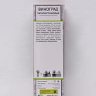 Виноград пятилисточковый (Партеноциссус), 1 шт, туба, Весна 2026 - Фото 2