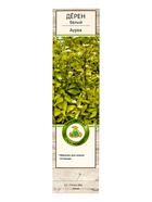 Дерен белый «Ауреа», саженец, декоративный, 1 шт., туба 7862758 - фото 4727011