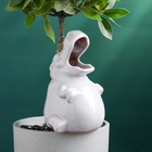 Ороситель для комнатных и садовых растений "Бегемот" Кунгурская керамика, 0.2л, 14см, белый - фото 3214984