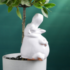 Автополив для комнатных растений «Бегемот», 200 мл, h=14 см, керамика - Фото 4