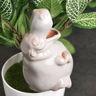 Автополив для комнатных растений «Бегемот», 200 мл, h=14 см, керамика - Фото 7