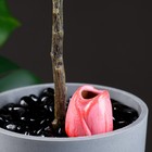 Ороситель почвы для домашних цветов и сада "Тюльпан" Кунгурская керамика, 30мл, 5см, розовый - фото 9703339