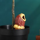 Ороситель "Львёнок" для комнатных и садовых растений, жёлтый, Кунгурская керамика, 0.2л, 6см - фото 18935525