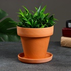 Горшок для цветов «Терра», 500 мл, d=12 см, h=11 см, керамика, с поддоном, цвет терракот 7818703