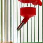 Поилка для грызунов Пижон FRIENDS, 125 мл, 12.5×4.5 см, красная - Фото 5