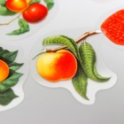 Наклейки для творчества "Ягоды в баночке" набор 35 шт 13,4х9 см - фото 23470904