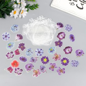 Наклейки для творчества "Сиреневые цветы в банке" набор 35 шт 12,4х9 см