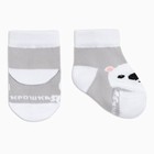 Набор носков Крошка Я «Белый мишка», 2 пары, 6-8 см - Фото 6