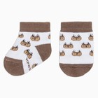 Набор носков Крошка Я «Оленёнок», 2 пары, 12-14 см - фото 30046901