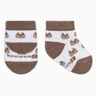 Набор носков Крошка Я «Оленёнок», 2 пары, 12-14 см - фото 30046902