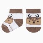 Набор носков Крошка Я «Оленёнок», 2 пары, 12-14 см - фото 30046903