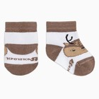 Набор носков Крошка Я «Оленёнок», 2 пары, 12-14 см - фото 30046904