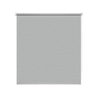 Рулонная штора Decorest «Айзен» «Мини», 40x160 см, цвет серебристый - Фото 1