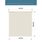 Рулонная штора Decofest «Апилера» Decofest «Мини», 40x160 см, цвет кремово-бежевый - Фото 2