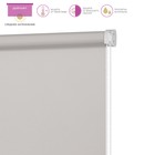 Рулонная штора Decofest «Плайн» Decofest «Морозный» Decofest «Мини», 50x160 см, цвет серый - Фото 2