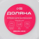 Форма для запекания Доляна «Фуэго», 700 мл, 22.7×20×3.6 см, с ручками, круглая, жаропрочное стекло, прозрачная - Фото 5