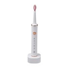Электрическая зубная щётка Luazon LP-002, вибрационная, 31000 дв/мин, 4 насадки, АКБ, белая - фото 7688612
