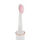 Электрическая зубная щётка Luazon LP-002, вибрационная, 31000 дв/мин, 4 насадки, АКБ, белая - фото 7688617