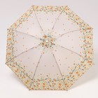 Зонт механический «Цветочная фантазия», 4 сложения, 8 спиц, R = 47 см, цвет МИКС - Фото 6