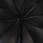 Зонт механический «Цветок», 4 сложения, 10 спиц, R = 53 см, цвет МИКС - Фото 3