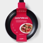 Сковорода Доляна Basic, d=22 см, пластиковая ручка, антипригарное покрытие, индукция, чёрная - Фото 8