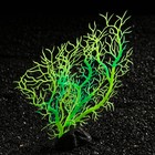 Растение искусственное аквариумное, светящееся, 20 см, зелёное - Фото 3