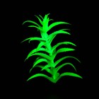 Растение искусственное аквариумное, светящееся, 20 см, зелёное - фото 6592361