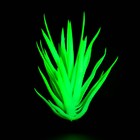 Растение искусственное аквариумное, светящееся, 20 см, зелёное - фото 6592366