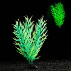 Растение искусственное аквариумное, светящееся, 20 см, зелёное - фото 318861388