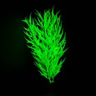 Растение искусственное аквариумное, светящееся, 20 см, зелёное - Фото 4