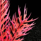 Растение искусственное аквариумное, светящееся, 20 см, красное - фото 6592374