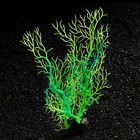 Растение искусственное аквариумное, светящееся, 25 см, зелёное - фото 25600181