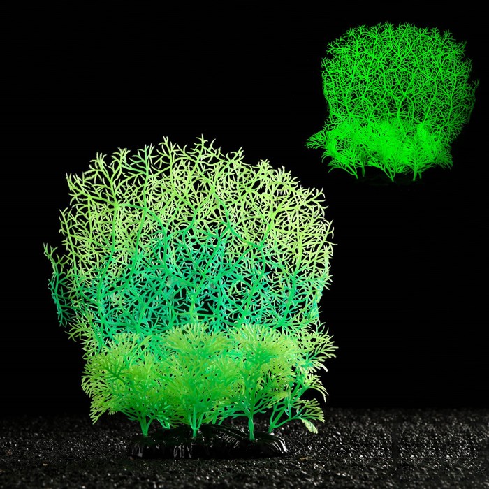 Растение искусственное аквариумное, светящееся, 23 см, зелёное - Фото 1