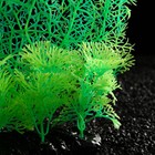 Растение искусственное аквариумное, светящееся, 23 см, зелёное - Фото 2