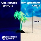 Растение для аквариума и террариума «Пальма», светящееся, 10 см, зелёное - Фото 1