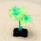 Растение для аквариума и террариума «Пальма», светящееся, 10 см, зелёное - Фото 3