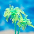 Растение для аквариума и террариума «Пальма», светящееся, 10 см, зелёное - Фото 4