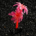 Растение искусственное аквариумное "Пальма", светящееся, 10 см, красное - фото 6592395