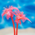 Растение для аквариума и террариума «Пальма», светящееся, 10 см, красное - Фото 4