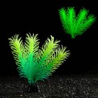 Растение искусственное аквариумное, светящееся, 10 см, зелёное - фото 6592398