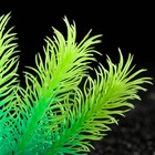 Растение искусственное аквариумное, светящееся, 10 см, зелёное - фото 6592399