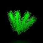Растение искусственное аквариумное, светящееся, 10 см, зелёное - фото 6592401