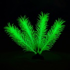 Растение искусственное аквариумное, светящееся, 10 см, зелёное - фото 30757717