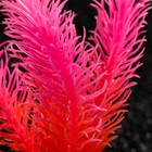 Растение искусственное аквариумное, светящееся, 10 см, красное - фото 6592404