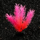 Растение искусственное аквариумное, светящееся, 10 см, красное - фото 6592405
