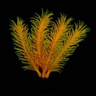 Растение искусственное аквариумное, светящееся, 10 см, красное - фото 6592406