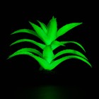 Растение искусственное аквариумное, светящееся, 10 см, зелёное - Фото 4