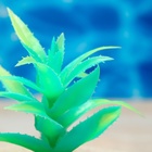 Растение искусственное аквариумное, светящееся, 10 см, зелёное - Фото 4